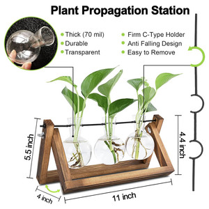 Estação de Propagação de Plantas, Terrário de Plantas com suporte de madeira, plantador para decoração de jardim, escritório doméstico, 3 vasos de vidro com lâmpadas - Product Image 5