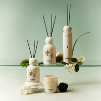 Diffuseur de roseau parfumé de style européen pour éliminer les odeurs de fumée domestique, parfum durable, série décorative