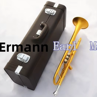 Irlman Musical Instruments Professional BB Brass Trumpet-Gold-Plated Finish Factory Direct Sales Includes Professional Suitcase