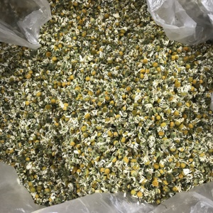 Yang gan ju-Manzanilla seca de alta calidad para té de flores, venta al por mayor, 4021 - Product Image 5
