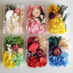 Fabrika kaynağı kuru çiçekler aromaterapi mum DIY malzemeler için gerçek doğal kurutulmuş çiçek reçine sanat ve fotoğraf çerçevesi dekorasyon