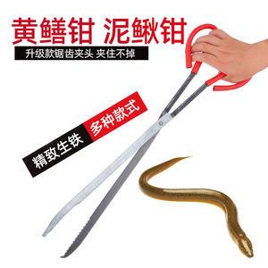 Green Smooth Eel Tongs Steel Long Reach Fishing Forceps For Crab And Loach Catching - Product Image 2