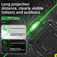Niveau laser infrarouge à lumière verte haute précision 12/16 lignes pour intérieur et extérieur