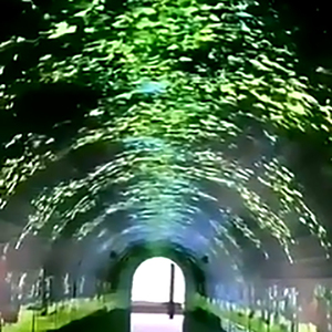 Pantalla curva LED de túnel LED interactiva inmersiva a todo color - Product Image 6