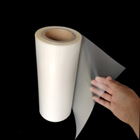 Rouleau de film de plastification thermique PET rigide brillant de 250 microns pour la plastification à chaud des plaques d'immatriculation temporaires