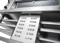 Horno de convección de vapor comercial programable digital Swenza para horneado profesional