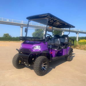 Top Quality Mini Golf Cart Buggies With 2 4 6 Seats Golf Cart