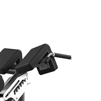 Banc d'hyperextension multifonctionnel avec support pour les pieds
