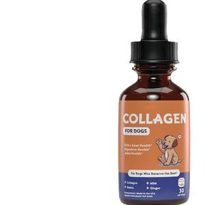 OEM/ODM Voedingssupplementen voor huisdieren: Rundcollageen + Biotine + Gember ter ondersteuning van huid & vacht, spijsvertering en gewrichten. Druppels voor honden & katten. - Product Image 1