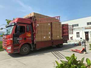 Model Pelatihan Perawatan Kaki Glycuresis Ilmu Kedokteran Model Kaki Manusia Penyakit Diabetes Kaki - Product Image 6