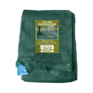 Tìm biểu tượng tương tự thu thập trái cây để hỗ trợ nông nghiệp, mạng ô liu, mạng thu hoạch ô liu - Product Image 2