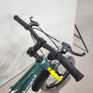 Vélo pour enfants en acier au carbone Secure Riding <span class=keywords><strong>avec</strong></span> frein au guidon Type pour enfants - Product Image 4