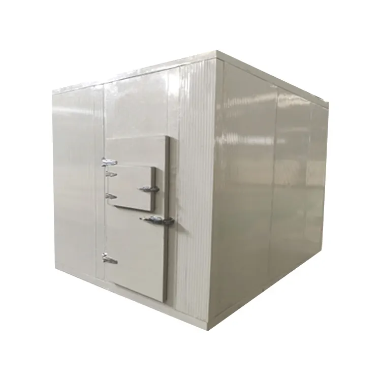 ice lolly cold room storage design food storage cold room cold room for fish storage