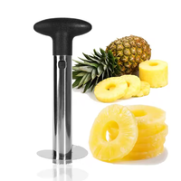 Handmatige roestvrijstalen ananas schiller, kernverwijderaar en snijder met metalen handvat, antiaanbaklaag, makkelijk schoon te maken, veilig voor gebruik met groenten