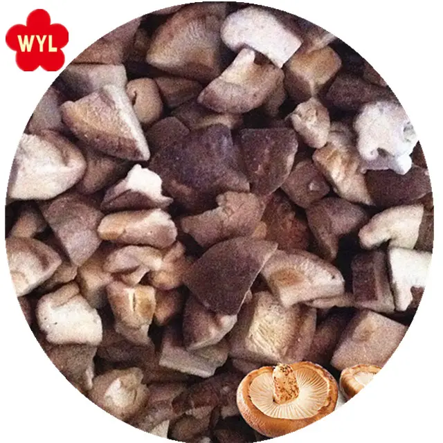 China factory price frozen mushroom IQF Frozen shiitake cut piece brown mushroom