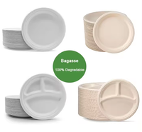 Assiettes ovales jetables écologiques de haute qualité, vaisselle réutilisable biodégradable en bagasse de canne à sucre pour restaurants, vente chaude