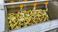 Machine à laver et à peler le gingembre, machine à peler le gingembre