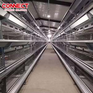 Grande Cage de Batterie Avicole de Type H pour Équipement d'Élevage de Poulets de Chair et Poules Pondeuses à 3/4/5/6/8 Niveaux avec Système de Collecte des Œufs - Product Image 5