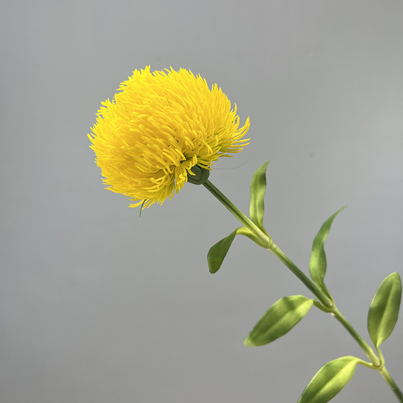 Giallo