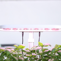 Oliz Z211 - Jardinière Intelligente Électronique pour Jardin et Intérieur - Boîte de Culture en ABS pour Légumes - Plante Artificielle - Pot de Fleurs en Plastique à Arrosage Automatique