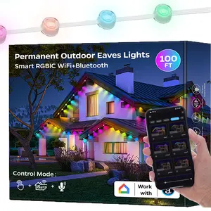 Holiday Verlichting Fabrikant Wifi Ir App Rgbic Permanent Christmas Lights Outdoor Pixel Point Light