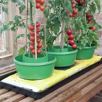 Jardinière de tomates auto-arrosante Pot goutte à goutte en plastique Planteur de culture Pots de plantes de tomates Pot de jardin Planteur