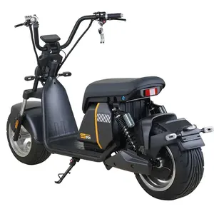 Scooter Citycoco Off Road Eu Magazijn 60V 20a 30a 40a 55a Batterij Volwassen Dikke Band 2000W 3000W Citycoco Scooter Electrique
