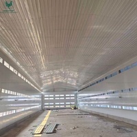 Nave Avícola Prefabricada de Acero con Sistema de Ventilación y Paneles de Enfriamiento Evaporativo para Climas Tropicales