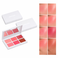 Palette de fards à joues, formule sans toxines, biocompatible, marque privée OEM ODM, sans plastique, look éclatant, kit professionnel expert de laboratoire moderne