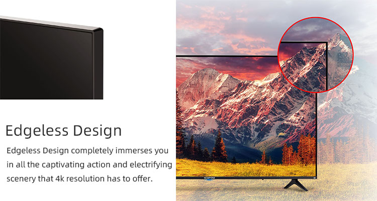 Skyworthブランド55  