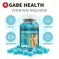 Gomitas de Ashwagandha ODM/OEM, 60 Unidades, Relajantes y Calmantes, Veganas, Sin Gluten, Suplemento Dietético Herbal para Venta al Por Mayor B2B