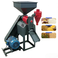 Machine à décortiquer et à polir le riz automatique compacte 500-600 kg/h pour usage agricole et domestique