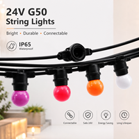 24V IP65 Wasserdichte G50 LED-Globus-Lichterkette für Außenbereich, Bunte Glühbirnen-Girlande, Verbindbare Terrassen-, Garten-, Party- und Feiertagsdekoration