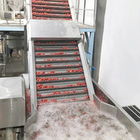 Ligne de production de sauce tomate, ketchup, pulpe de tomate, concentré de tomate