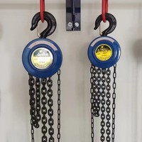 Palans à chaîne manuels HSZ pour usage domestique, vente en gros du fabricant, 1/2/3/5T, bleu/jaune, grue de levage manuelle de 3 mètres