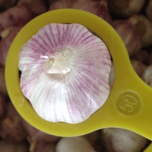 Verdure tipo di prodotto cina aglio fresco con grande qualità di imballaggio in borsa a rete o cartone - Product Image 4