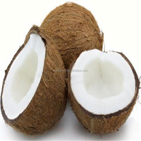 Machines et équipements d'extraction et de traitement de l'eau de coco et du lait de coco clés en main pour la production d'huile de coco