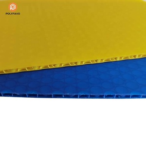 Toàn Bộ bán Chất lượng cao nhựa PP <span class=keywords><strong>Polypropylene</strong></span> tấm tổ ong cho van nội thất PP bong bóng di động Hội Đồng Quản Trị - Product Image 5