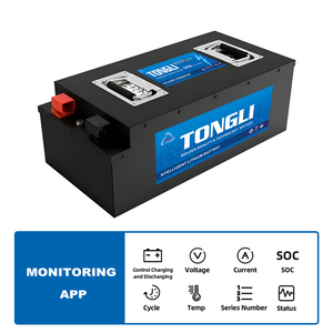 แบตเตอรี่โซลิดสเตท 12V 200Ah สำหรับรถยนต์ พร้อมระบบ BMS ในตัว ได้รับการรับรองมาตรฐาน CE รองรับ OEM - Product Image 6
