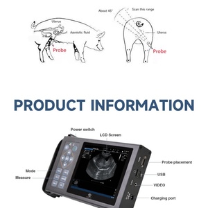Échographe vétérinaire RS A10 à la pointe de la technologie pour la détection de la gestation des porcs et des brebis - Product Image 3