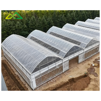 Polyethyleenfolie Gotische Multi-Span Grote Landbouwkas Kit |   Turnkey commerciële groente- en bessenkweek met hoge opbrengst