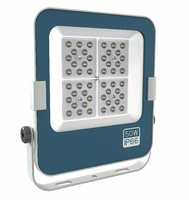 Projecteur LED extérieur IP66 50W 100W pour stade de football