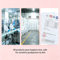 Kit de soins post-partum personnalisé avec logo, sous-vêtements jetables de maternité, bouteille de lavement péri-partum, compresses de glace, fournitures d'accouchement hospitalier pour jeunes mamans