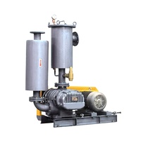 Pompe à vide de type Roots série HDSR-V à haute efficacité pour le traitement des eaux usées, refroidissement par air haute pression, gaz naturel, 100 CV, électrique
