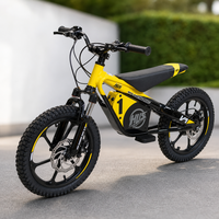 Moto électrique tout-terrain pour enfants, garçons et filles, 16 pouces, 36V 5.0Ah, pneus à crampons en alliage d'aluminium, frein hydraulique
