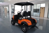 Véhicule de golf électrique en gros d'usine, version batterie lithium, pour patrouille et transport dans les parcs et propriétés