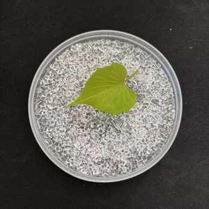 Virgin Raw PMMA <b>Pellets</b> IRS204-001 LXN865 TBR134-001 <b>Plastic</b> Granules Top Level Molding Grade - Product Image 3