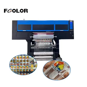 Stampante Fcolor Roll to Roll 60cm AB UV Dtf con laminatore per macchina Epson i3200 Dtf