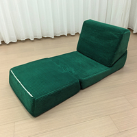 Nouveau style moderne, canapé-lit pliant pour salon, fauteuil individuel en tissu éponge haute densité, type tatami