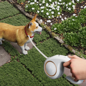 Correa de extensión de plomo duradera ajustable de 5m con logotipo personalizado de alta resistencia correa de nailon retráctil automática para perros para cachorros - Product Image 6